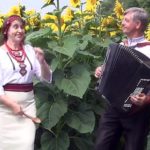 Наталія Островська і Леонід Островський