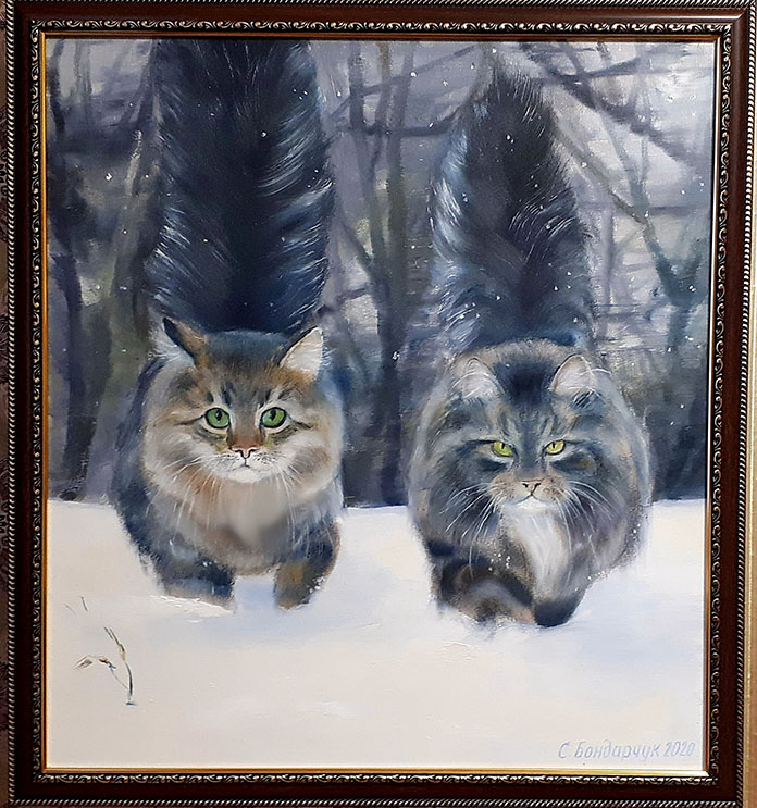 Світлана Бондарчук Коти