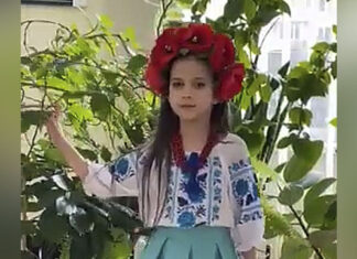 Аліна Черкасенко